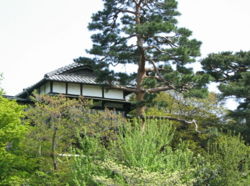 代沢周辺のお屋敷