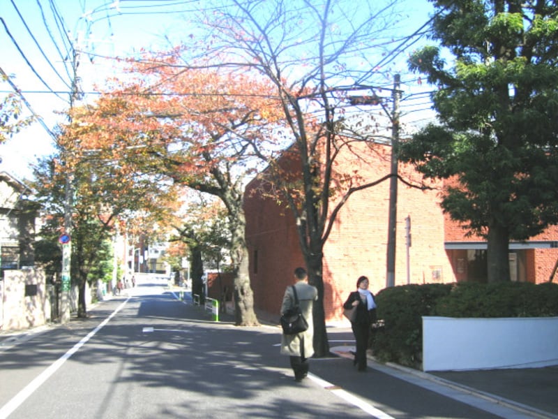 長谷川町子美術館
