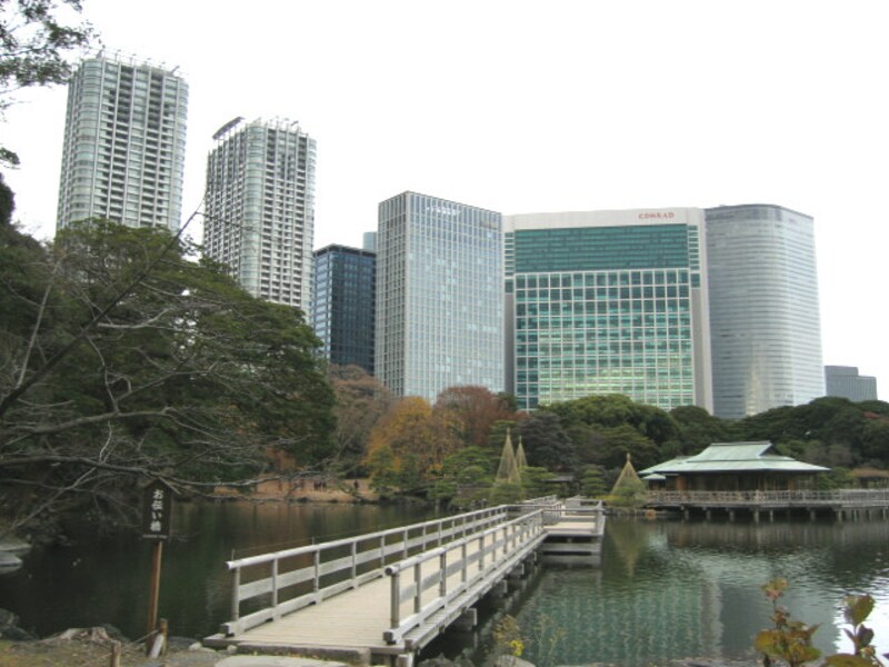 浜離宮から汐留