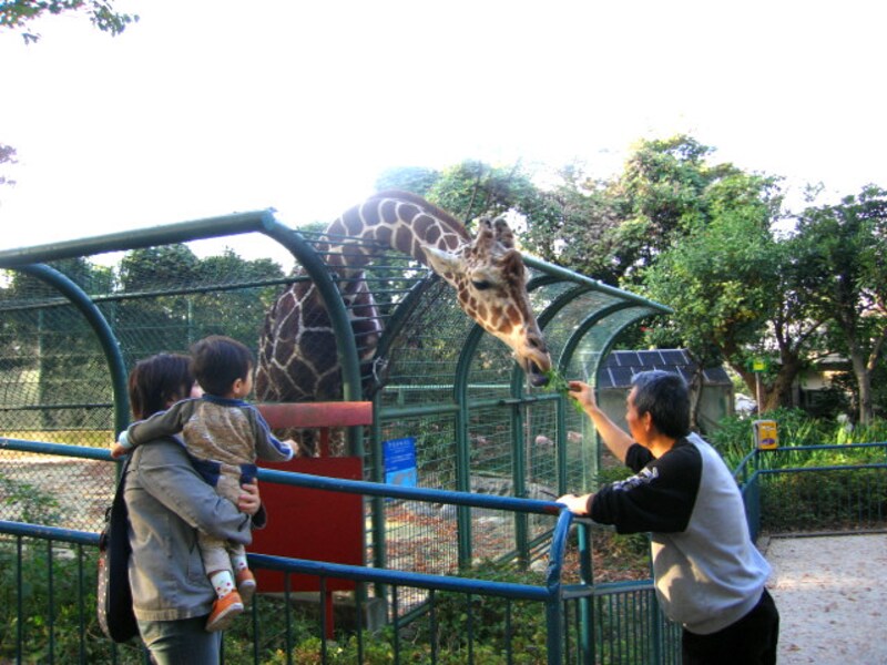野毛動物園