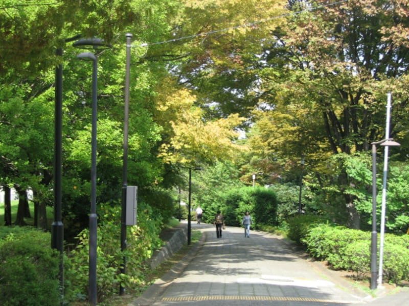 たまプラーザ団地