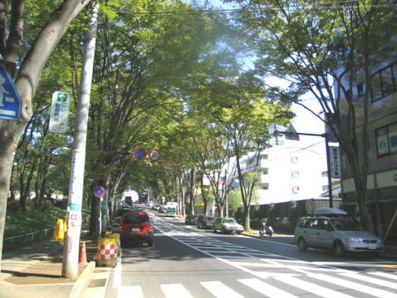 美しが丘公園