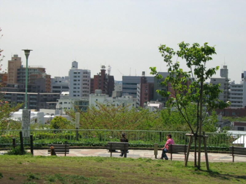 西郷山公園