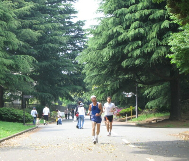 駒沢公園