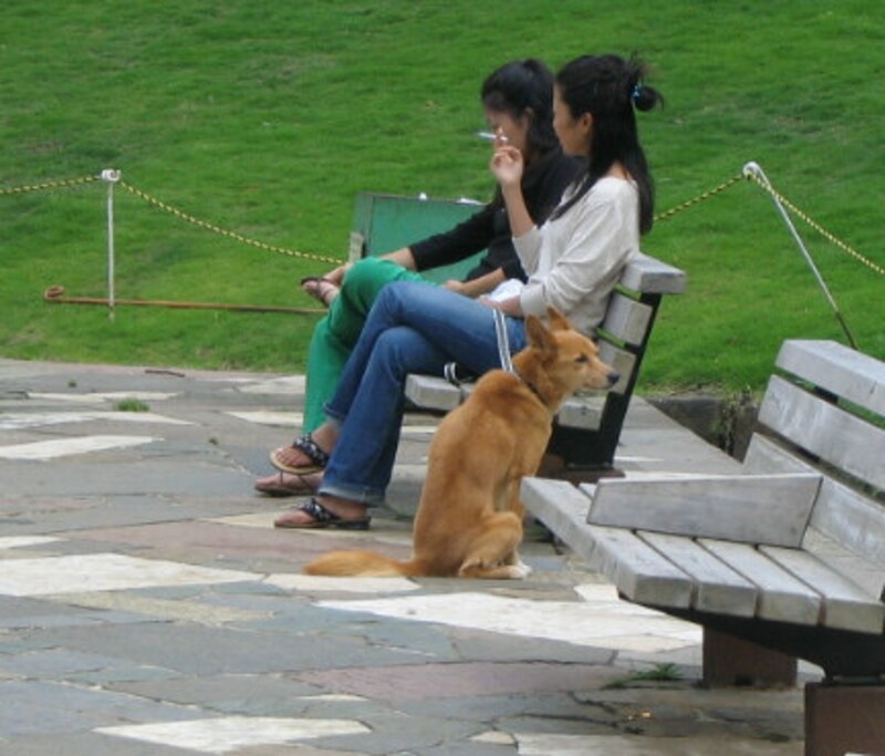 コミュニケーションを図る場所