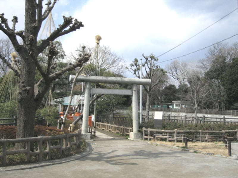 目黒区立碑文谷公園
