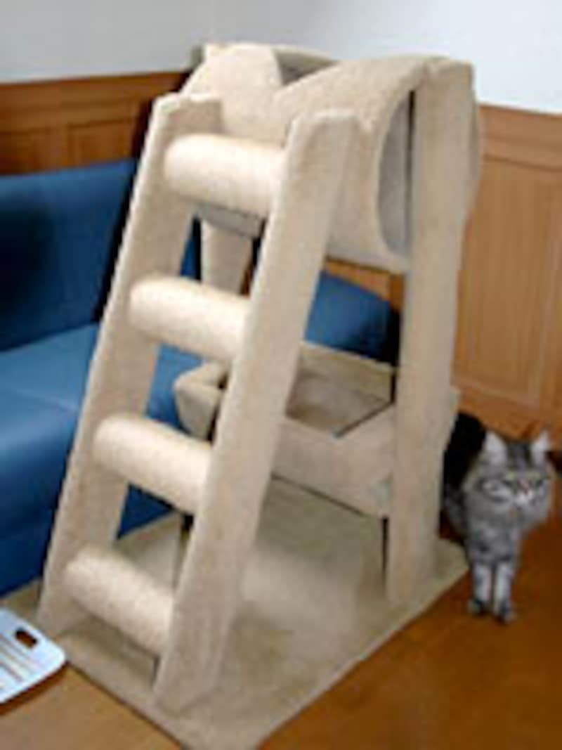 キャットタワーは猫のお気に入りアイテム！