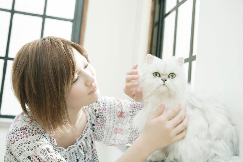 注目されると猫も落ち着けない