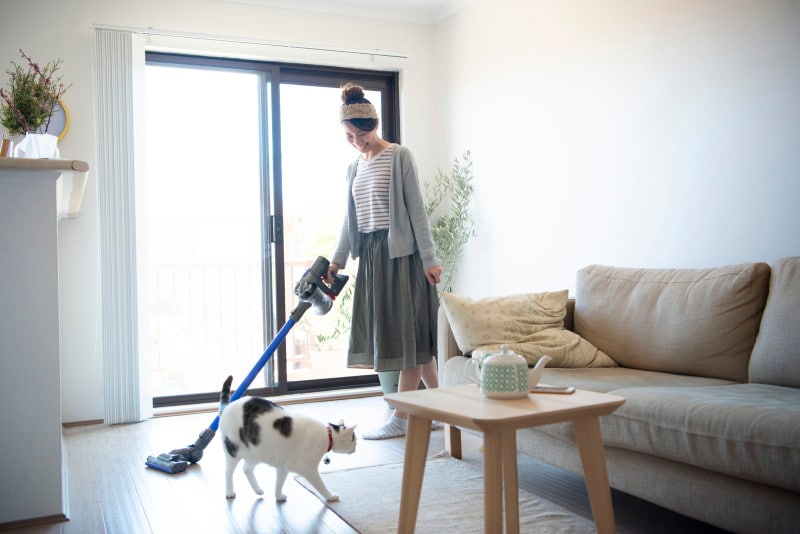 猫はキレイ好き!