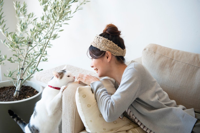 猫と仲良く暮らすためにもしつけは優しく