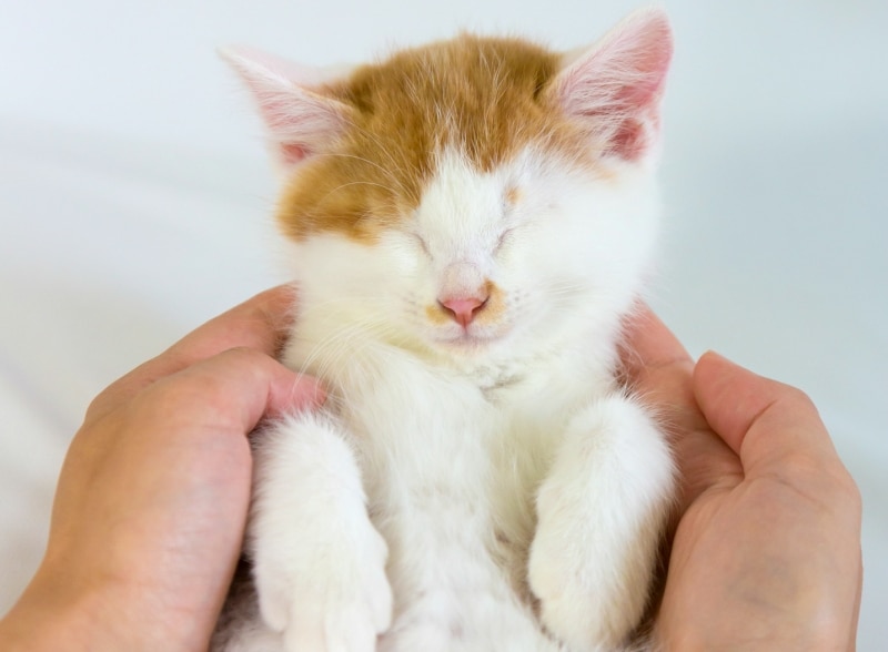 マッサージでリラックス