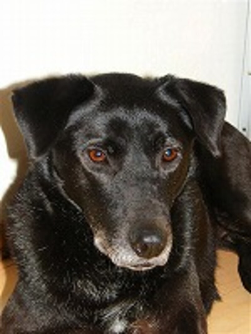 赤目が軽減された