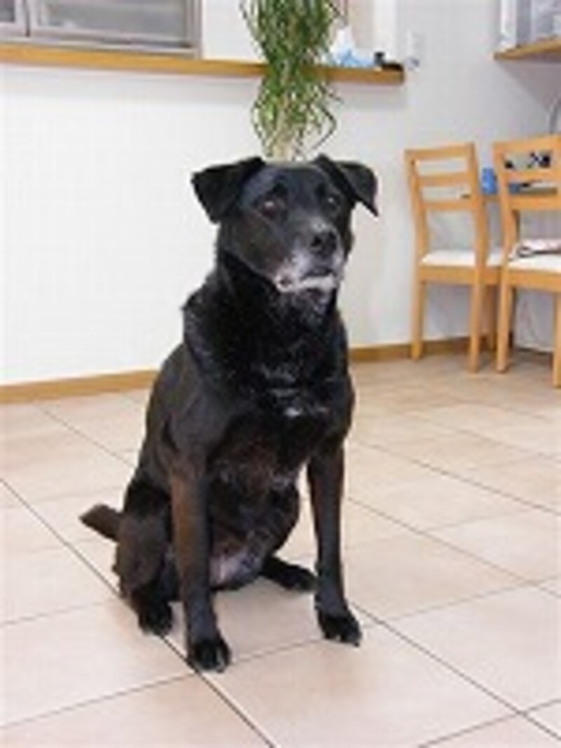 スローシンクロ使用。影も消えて綺麗