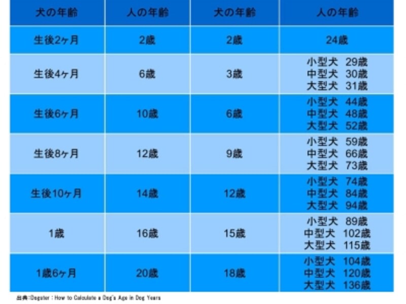 ロングコートチワワの寿命は約15年って本当なのかな 花と団子と