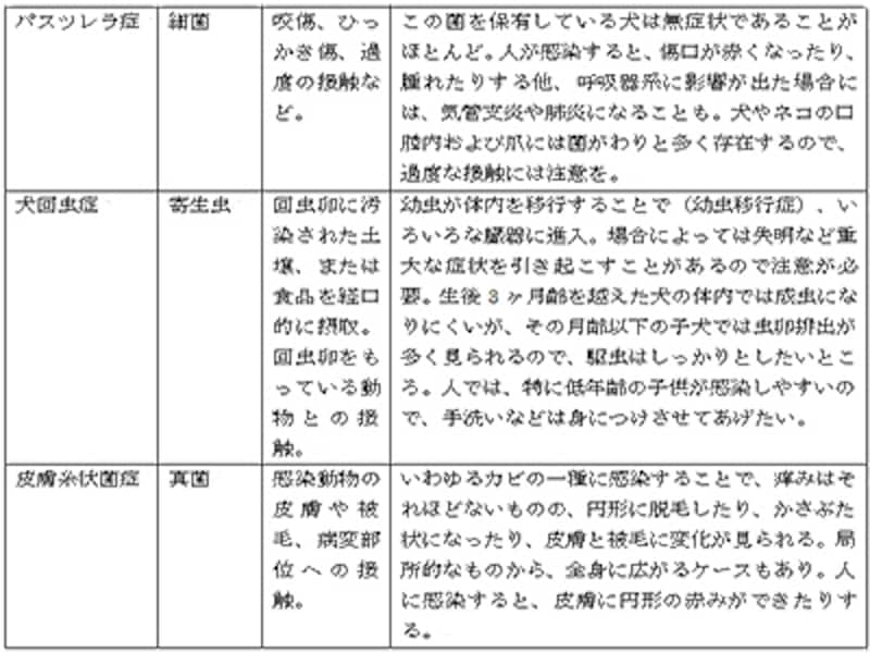 犬に関連する人畜共通感染症