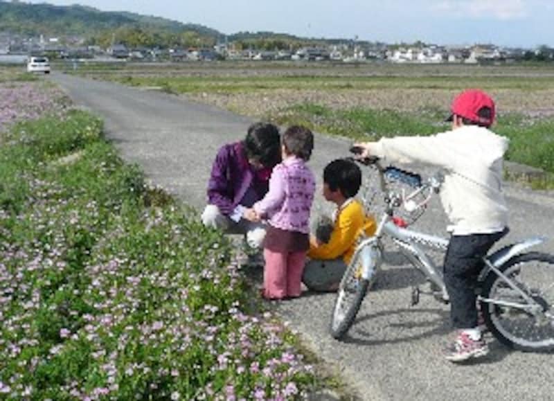 次の世代へつなぐ