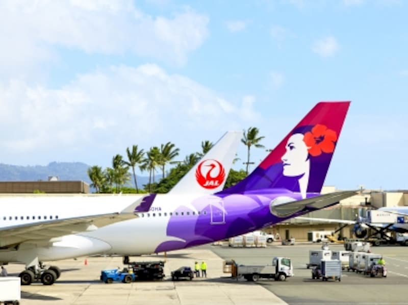 臨時便情報はサイト検索でいち早くキャッチ！