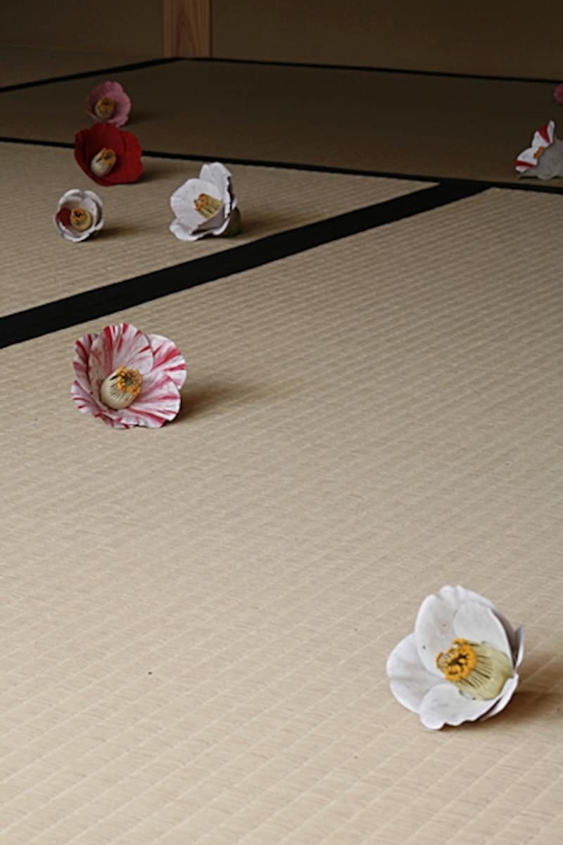 家プロジェクト「碁会所」 須田悦弘“椿” 写真:渡邉修