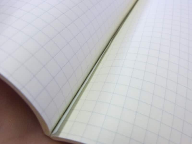 ライフ シェプフェル