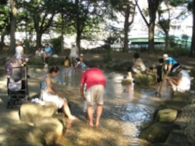 猿江恩賜公園内の水遊び場