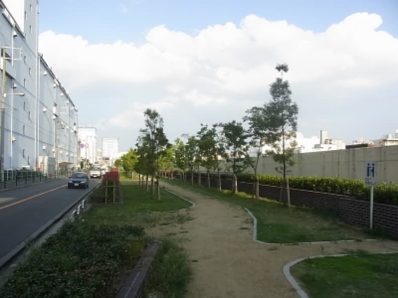 安治川沿いの遊歩道