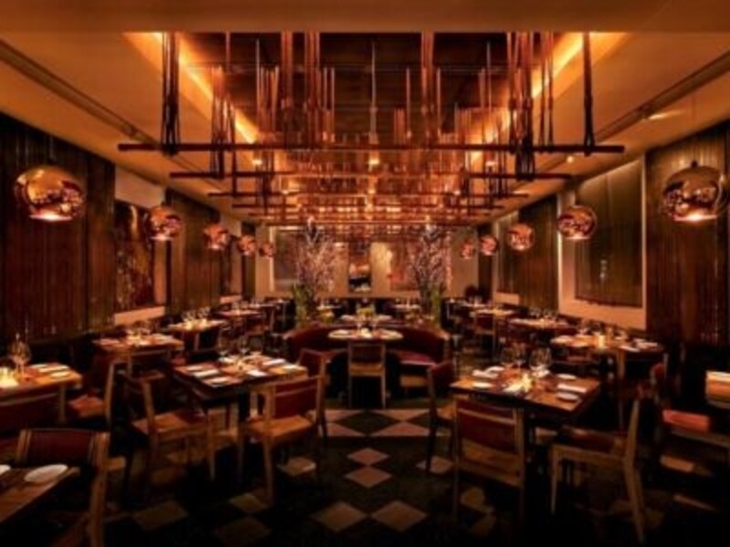 夏に較べてぐっと深みのある色の店内  photo: park avenue