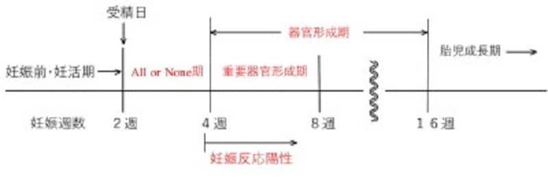 妊娠中に飲んでもいい薬、飲んではいけない薬