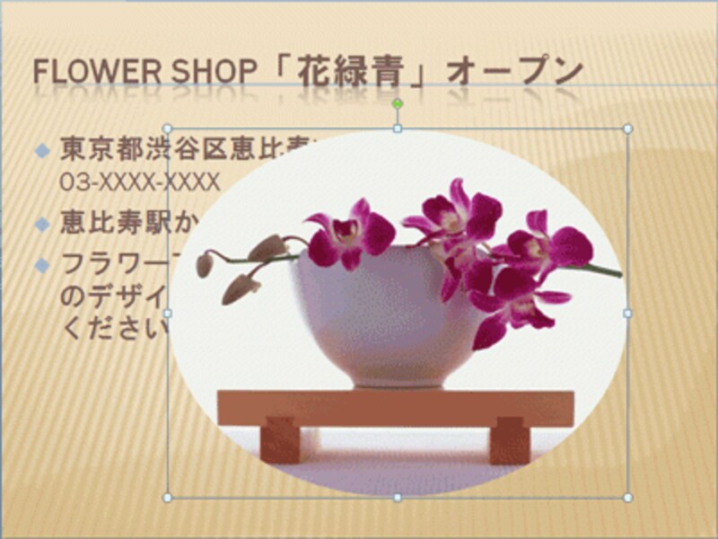 写真を楕円形に切り抜けた