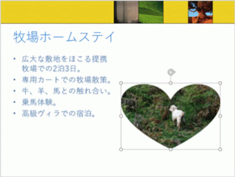 四角い写真がハート形に切り抜かれた