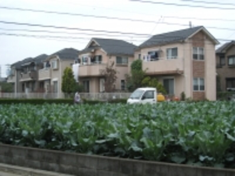 農地と住宅が混在したエリア