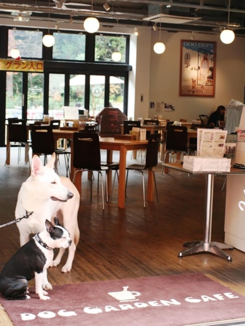 ドッグガーデンリゾート