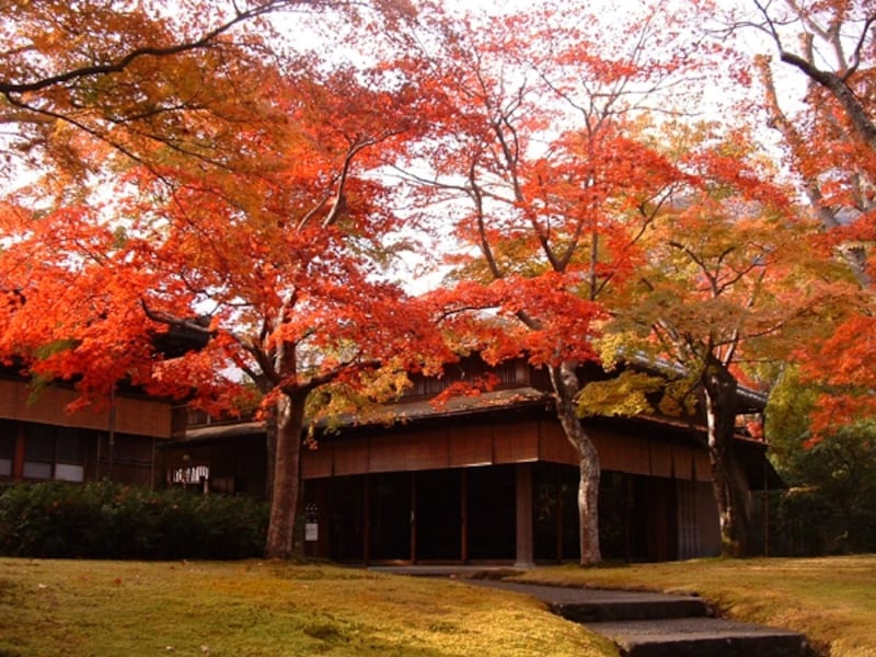 庭園内の抹茶席「真和亭」