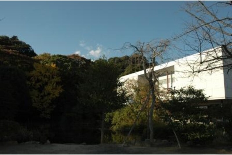 カフェから眺める源平池も美しい