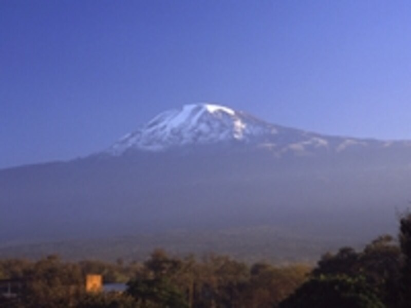 モシから見上げたキリマンジャロ