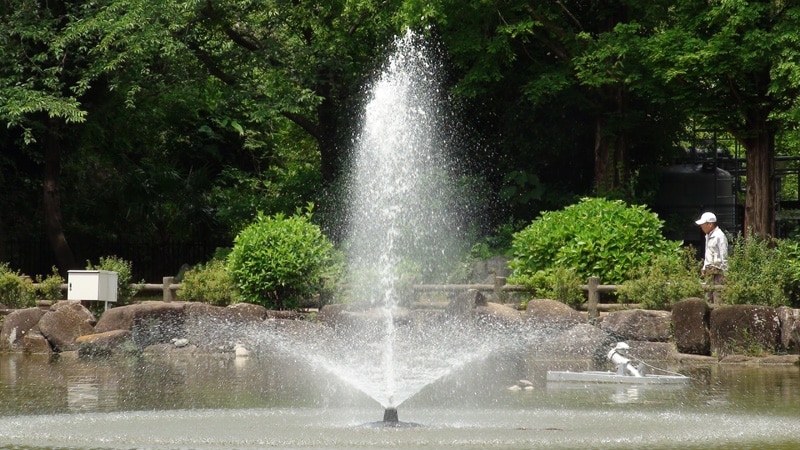 ▲XR520Vで撮影した静止画像