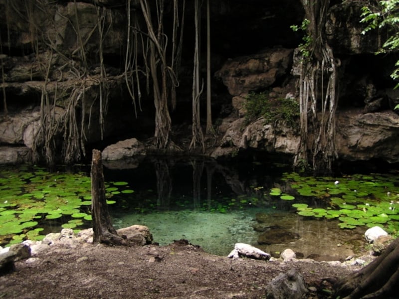 ユカタン半島のあちこちで見られる神秘的な泉、セノーテ