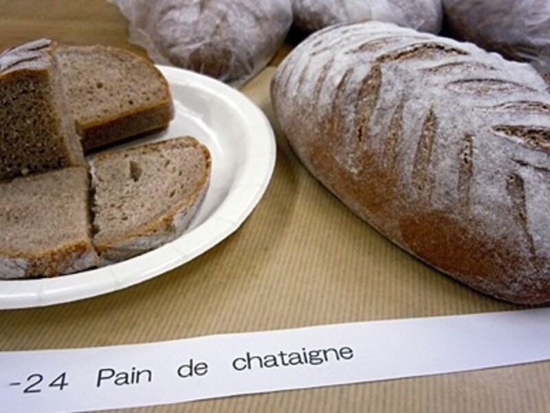 Pain de Chataigne