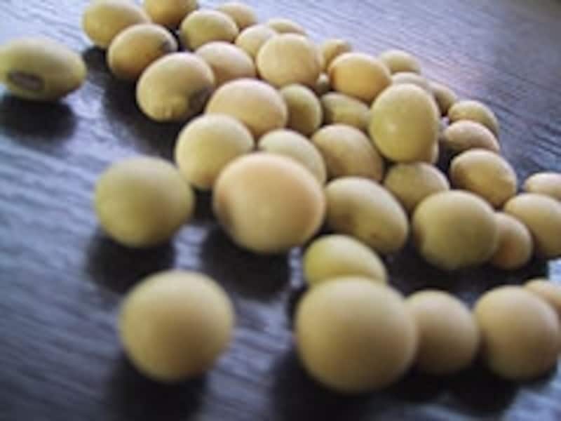 栄養素undefined大豆