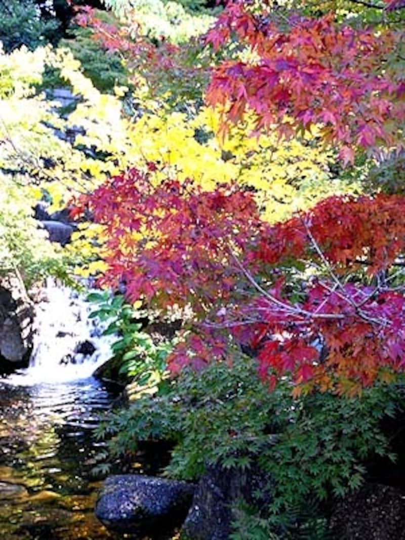 徳川園