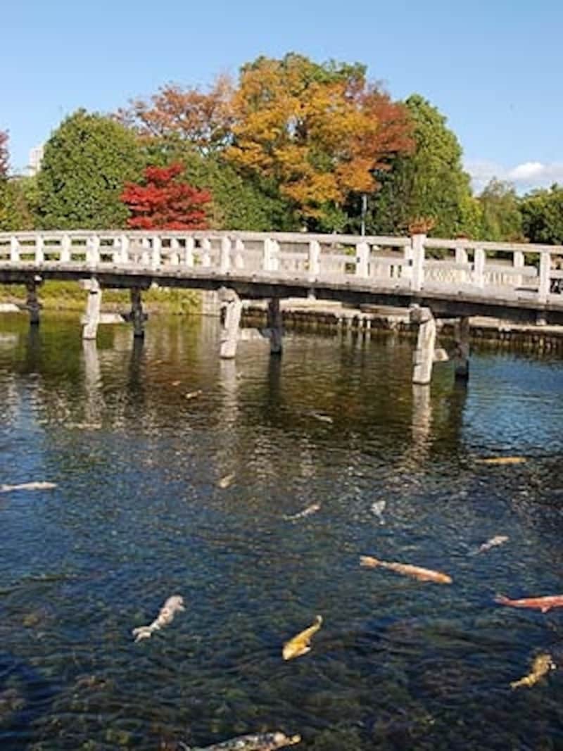 白鳥庭園