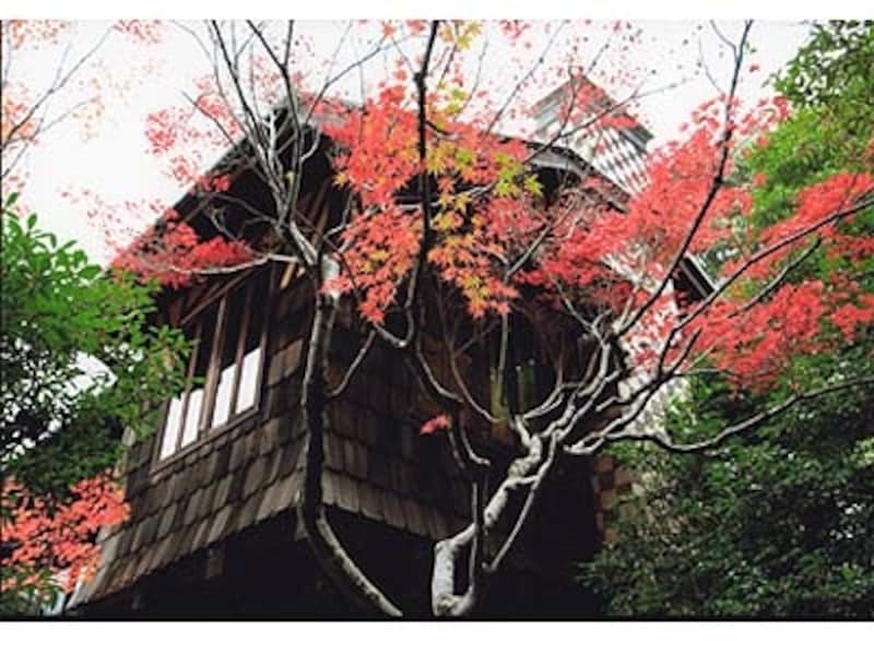 揚輝荘