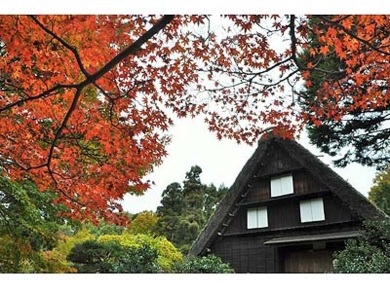 名古屋の紅葉名所18 見頃時期 ライトアップ情報も 名古屋の観光 旅行 All About 名古屋の紅葉名所18 見頃時期 ライトアップ情報も 名古屋の観光 旅行 All About
