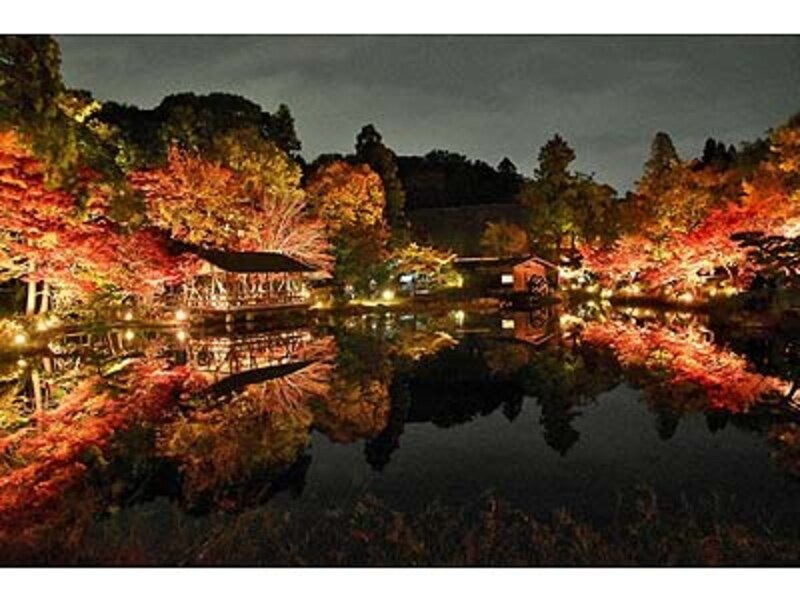 紅葉