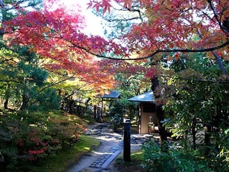 白鳥庭園