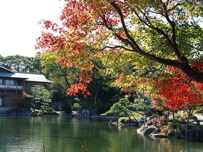 名古屋の紅葉名所18 見頃時期 ライトアップ情報も 名古屋の観光 旅行 All About 名古屋の紅葉名所18 見頃時期 ライトアップ情報も 名古屋の観光 旅行 All About