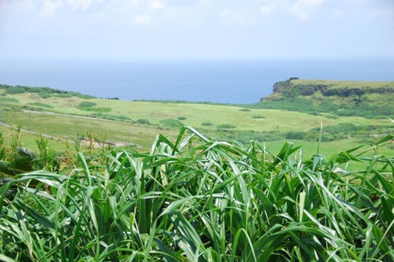 与那国の景色