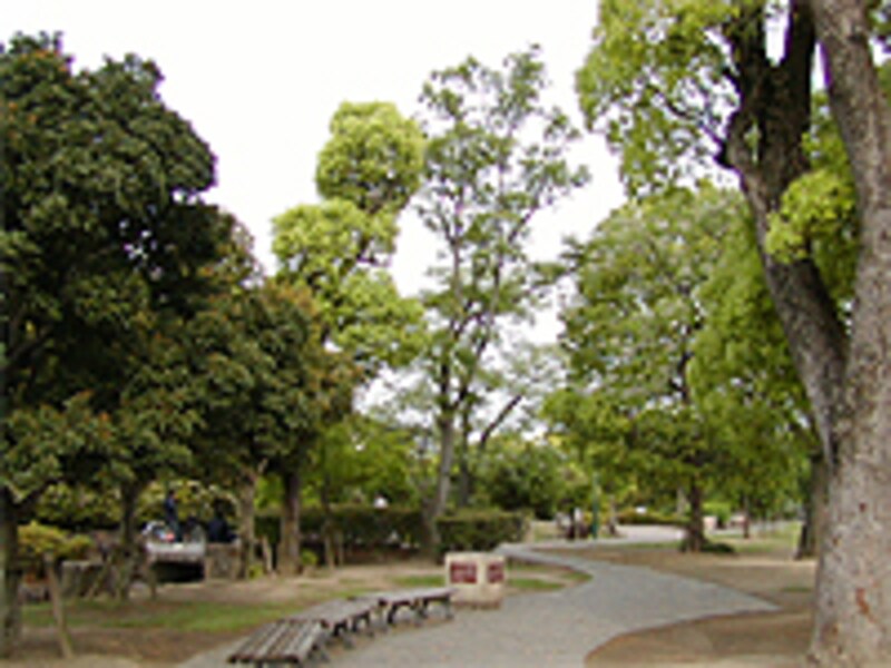 公園イメージ