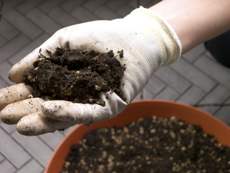 プランターで野菜栽培 土作りの方法 処分に困る土の再生方法 家庭菜園 All About