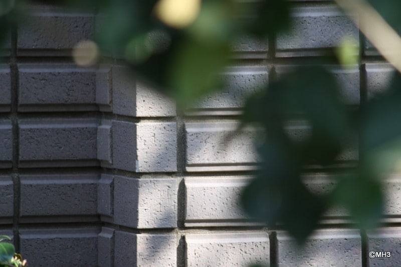 「パークハウス多摩川」に使われているタイル