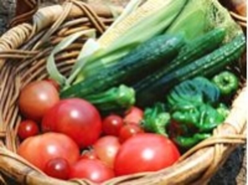 おいしそうな野菜